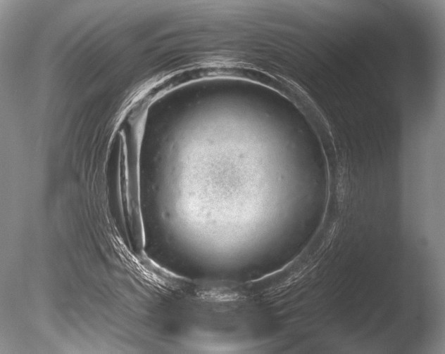 X0000086260831200703291431
