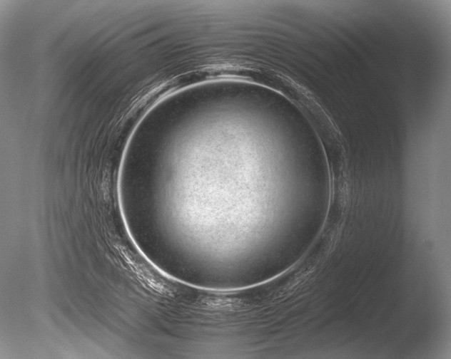 X0000086260833200703291431