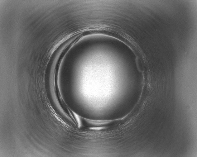 X0000086260834200703291431