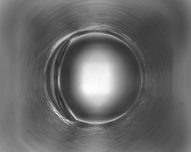 X0000086260838200703291431