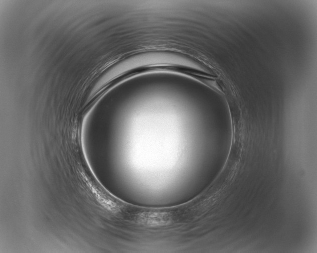 X0000086260841200703291431