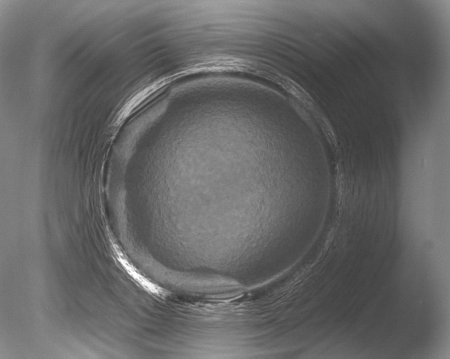 X0000086260842200703291431