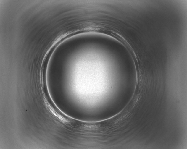 X0000086260843200703291431