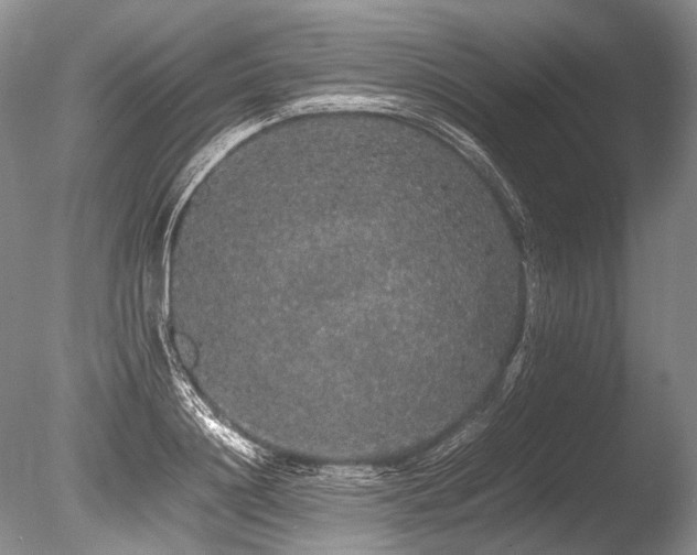 X0000086260844200703291431