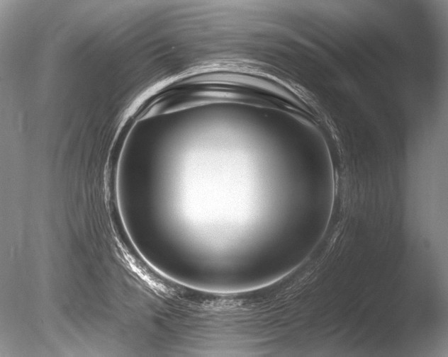 X0000086260846200703291431