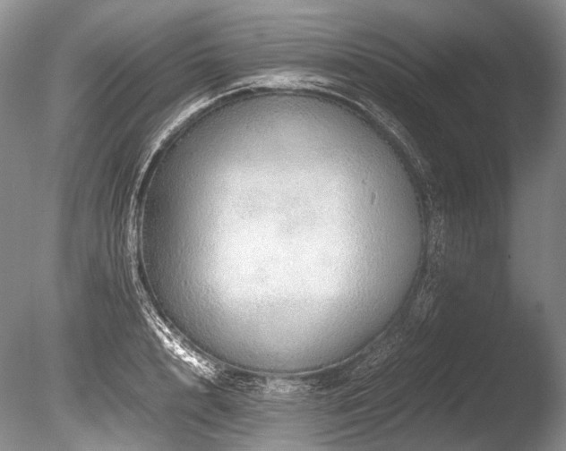 X0000086260848200703291431