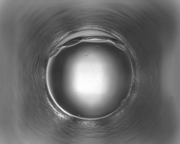 X0000086260849200703291431