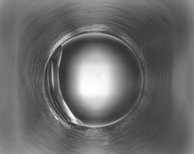 X0000086260850200703291431