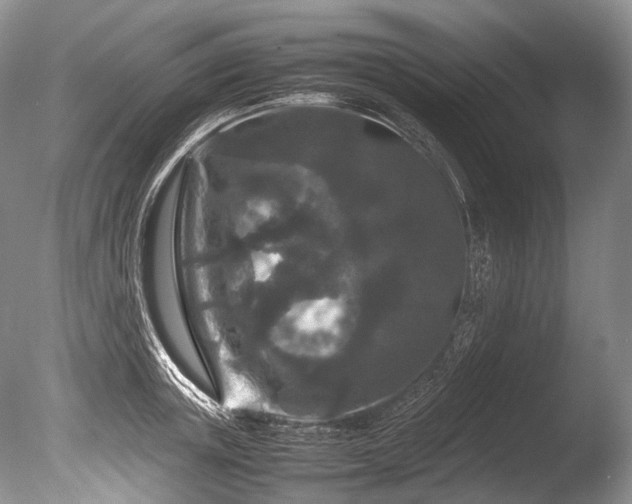 X0000086260851200703291431