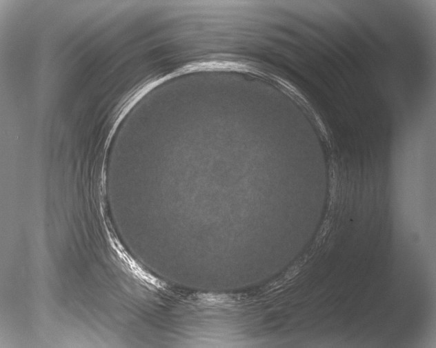 X0000086260852200703291431
