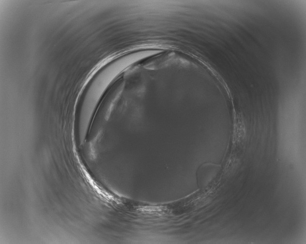 X0000086260853200703291431