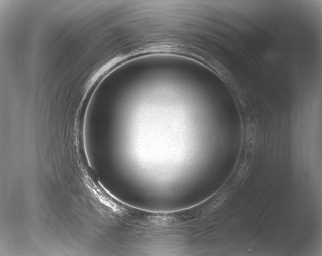 X0000086260854200703291431