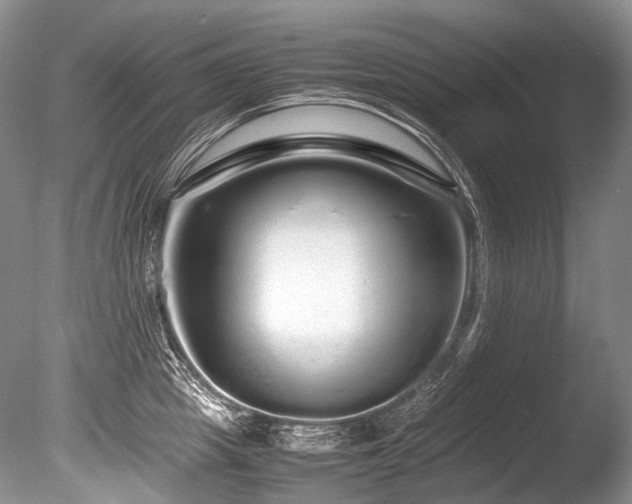 X0000086260857200703291431