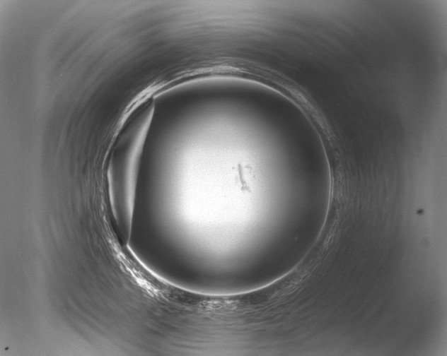 X0000086260858200703291431