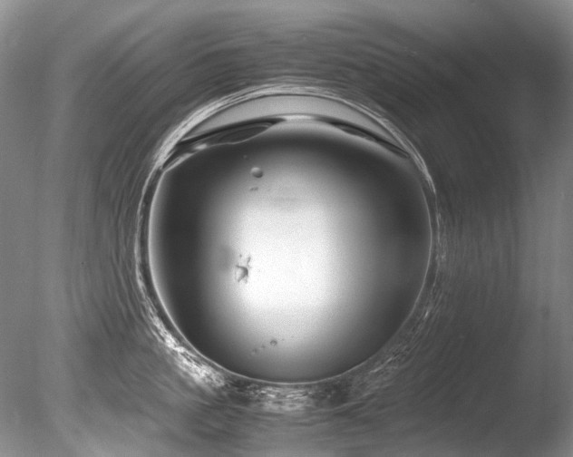 X0000086260861200703291431