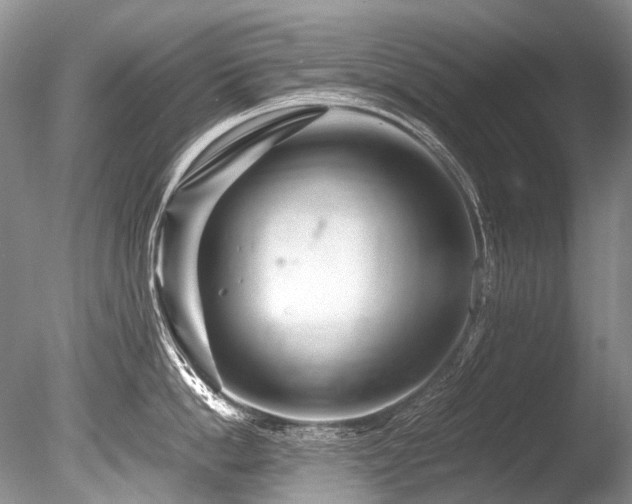 X0000086260862200703291431