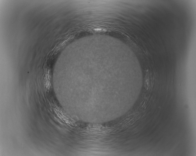 X0000086260866200703291431