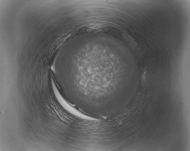 X0000086260868200703291430