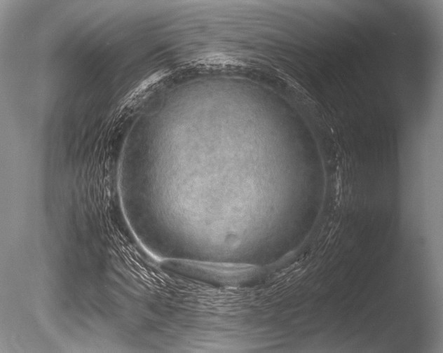 X0000086260870200703291430