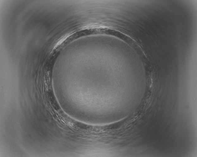 X0000086260871200703291430