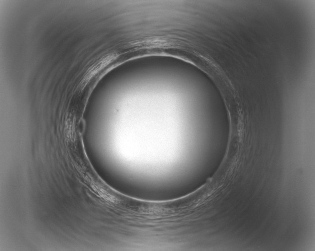 X0000086260873200703291430