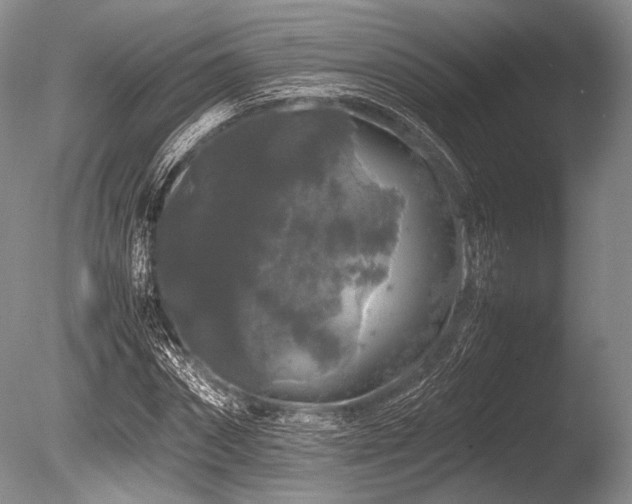 X0000086260874200703291430