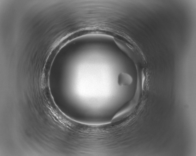 X0000086260876200703291430