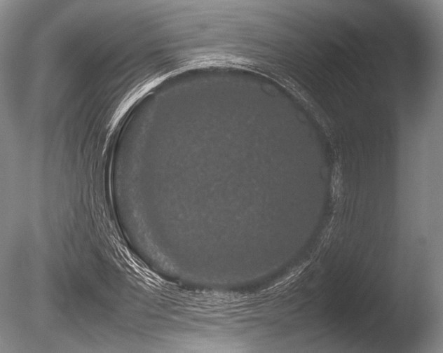 X0000086260877200703291430