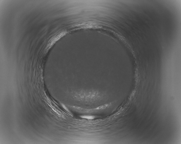 X0000086260881200703291430