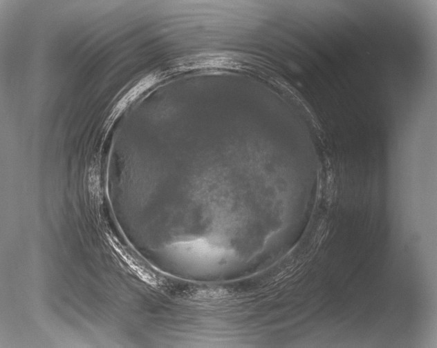 X0000086260882200703291430
