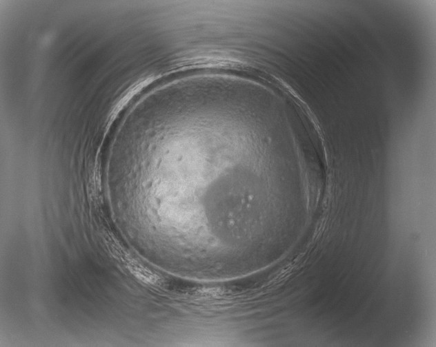 X0000086260883200703291430