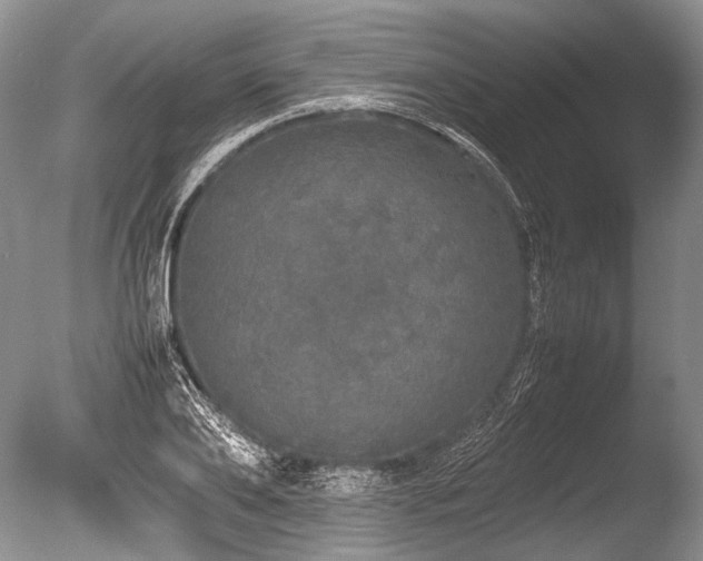 X0000086260886200703291430
