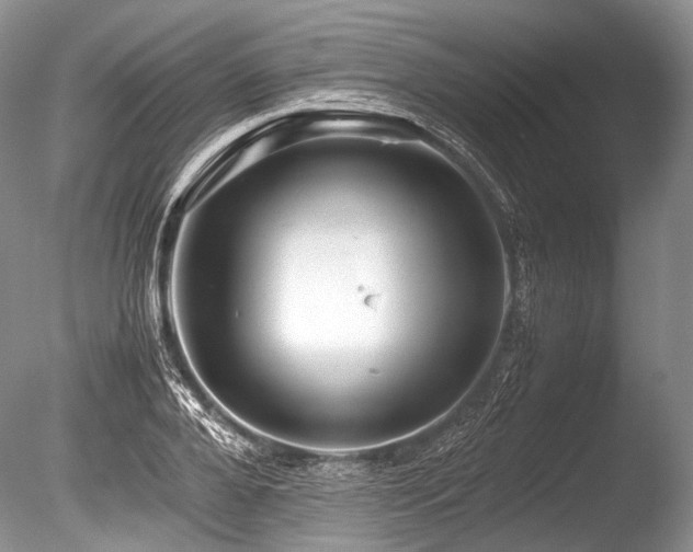 X0000086260888200703291430