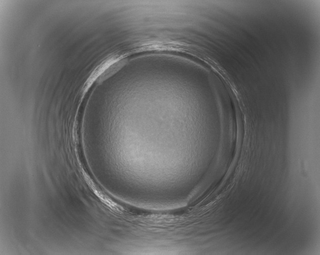 X0000086260893200703291430