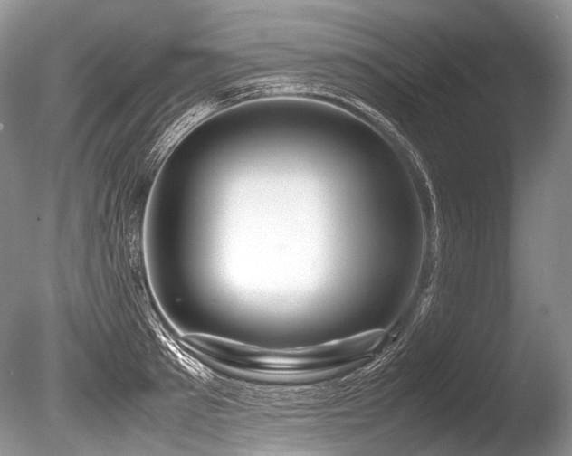 X0000086260897200703291430