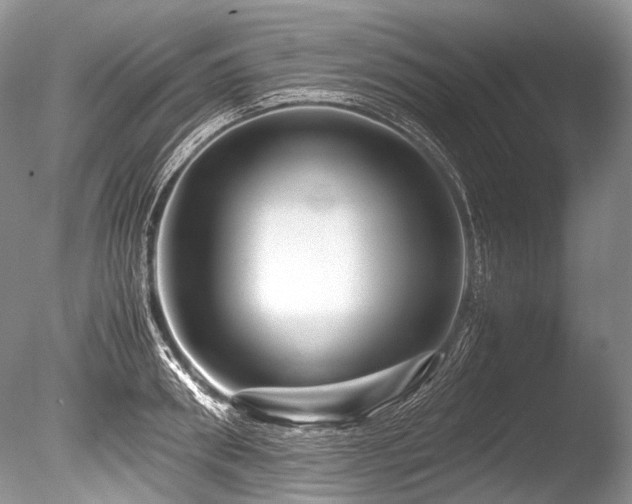 X0000086260898200703291430