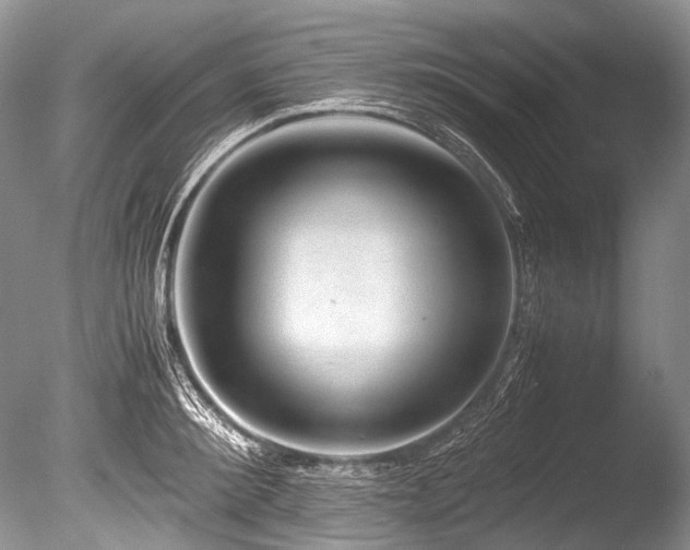 X0000086260900200703291430