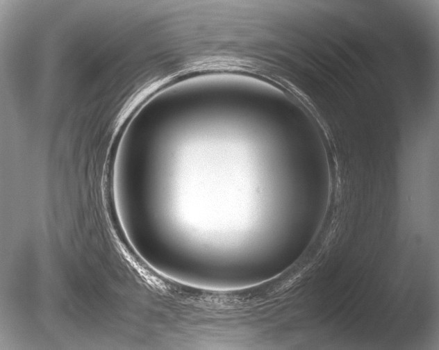 X0000086260901200703291430