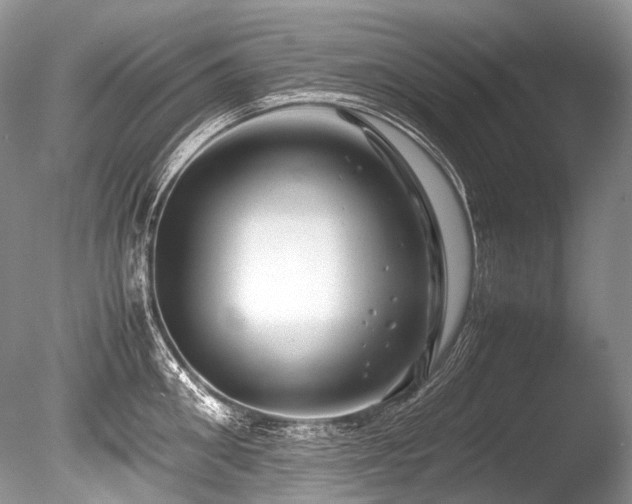 X0000086260906200703291430