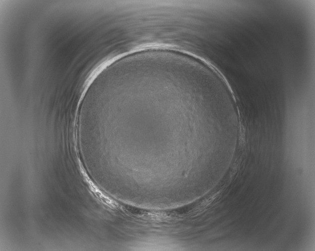 X0000086260911200703291430