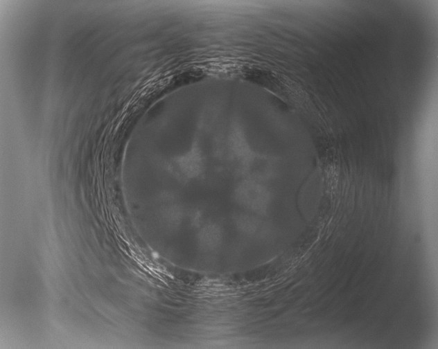 X0000086260913200703291429