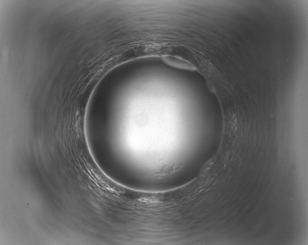 X0000086260914200703291429