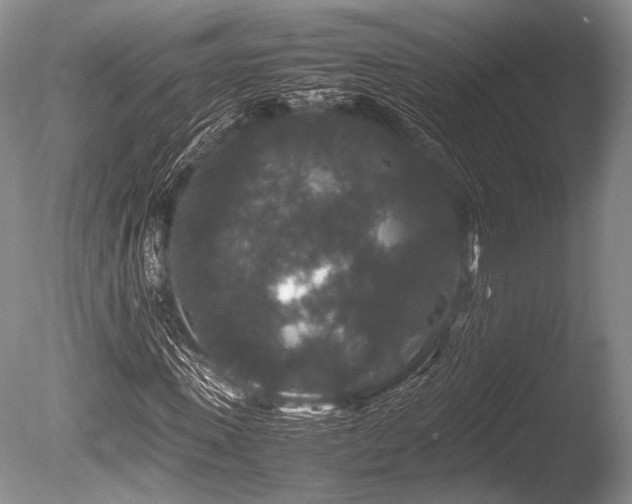 X0000086260915200703291429