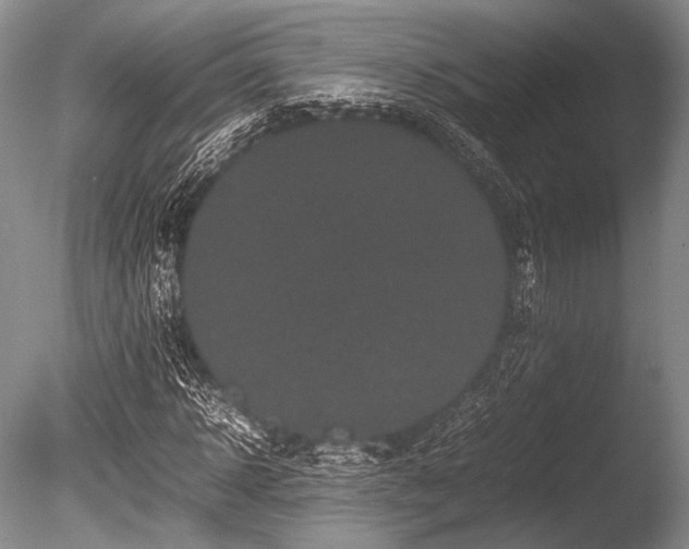 X0000086260918200703291429