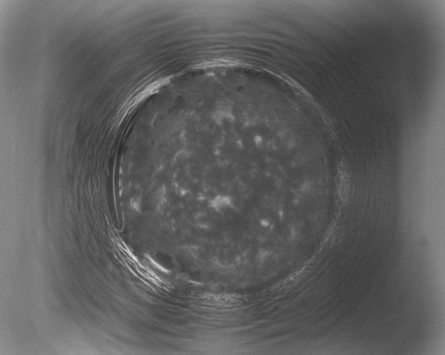 X0000086260921200703291429