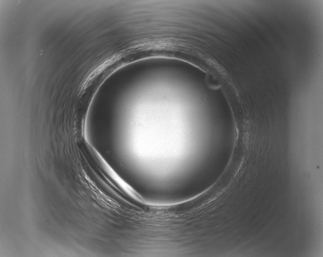 X0000086260922200703291429