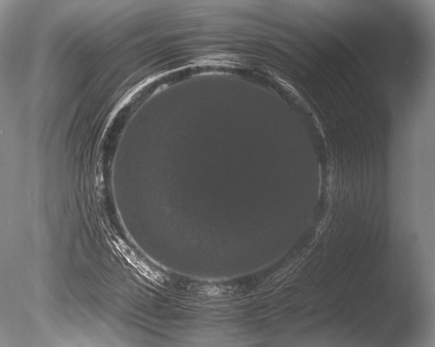 X0000086260923200703291429