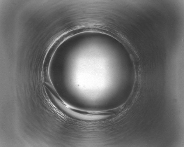 X0000086260924200703291429