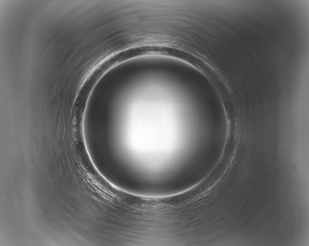 X0000086260926200703291429