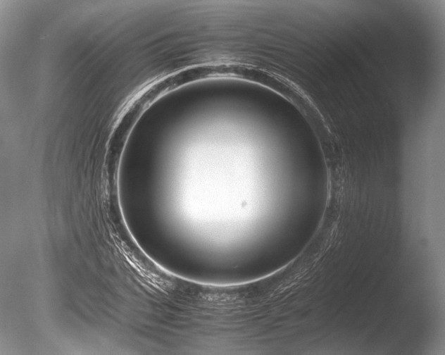 X0000086260927200703291429